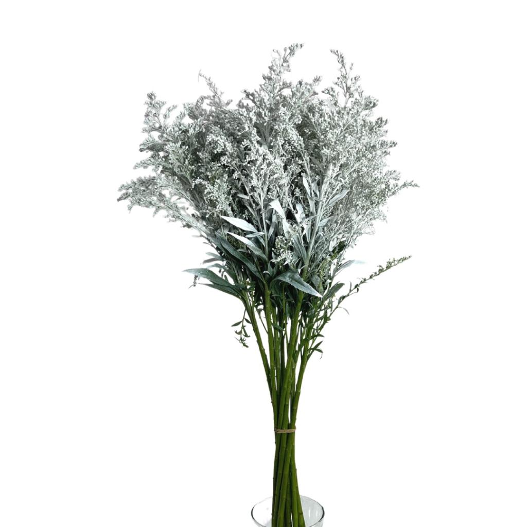 Solidago painted white-image