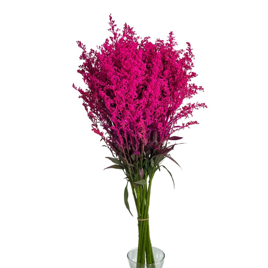 Solidago painted hot pink-image