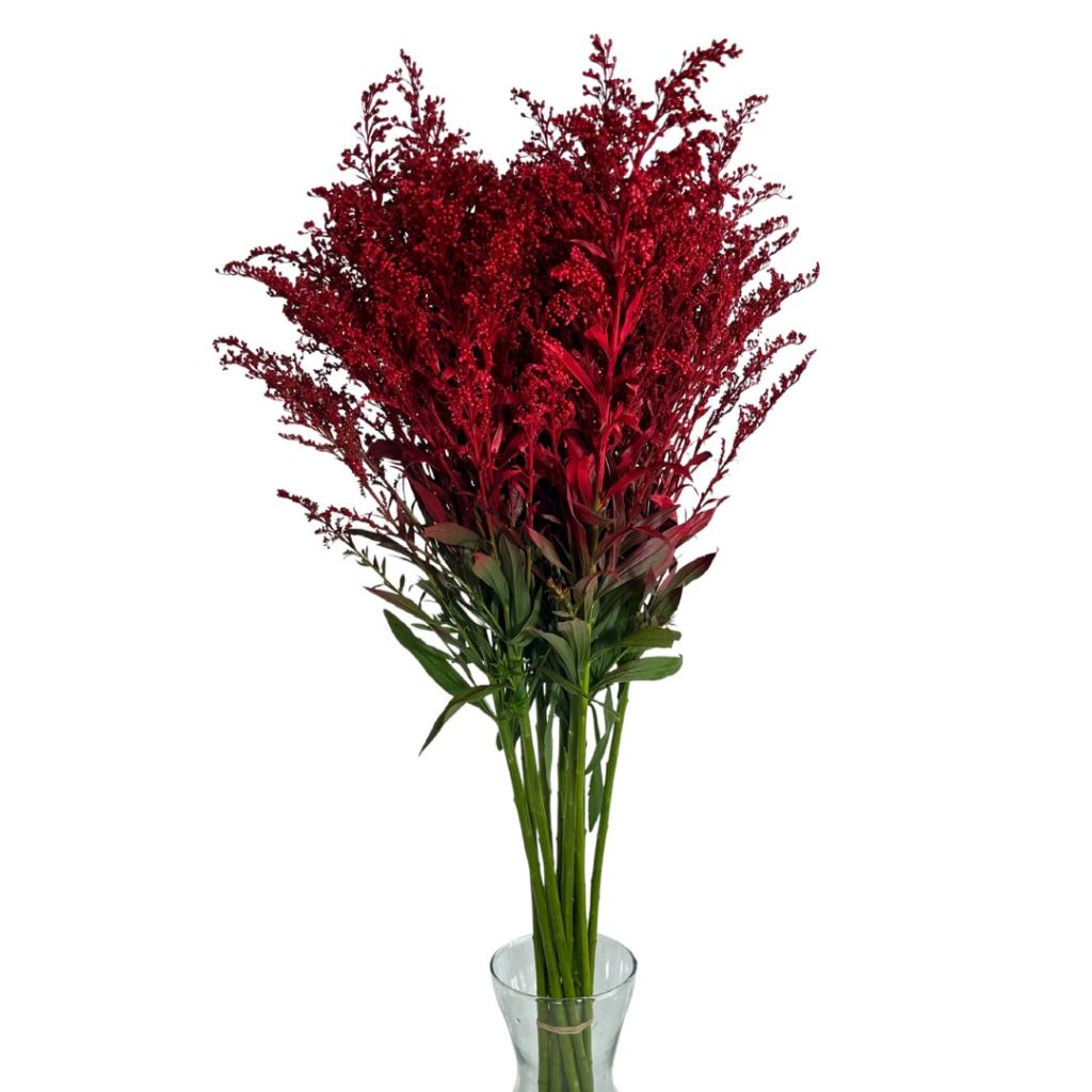 Solidago painted red select x10-image