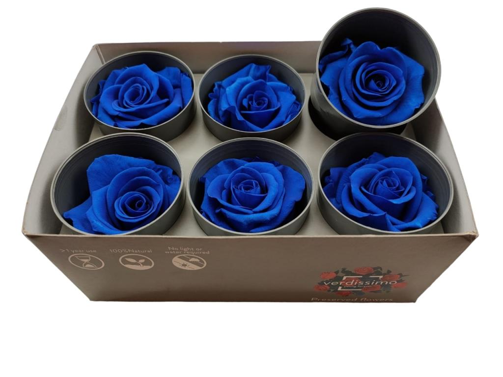 Ice Dry Rose Dark Blue-image