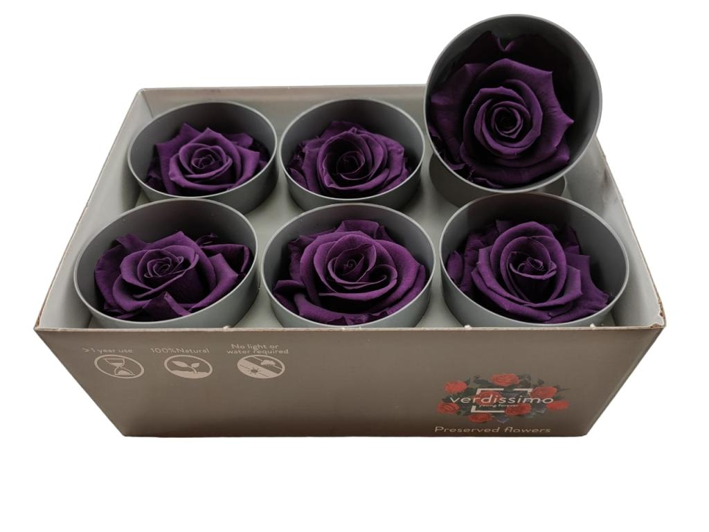 Ice Dry Rose Purple-image